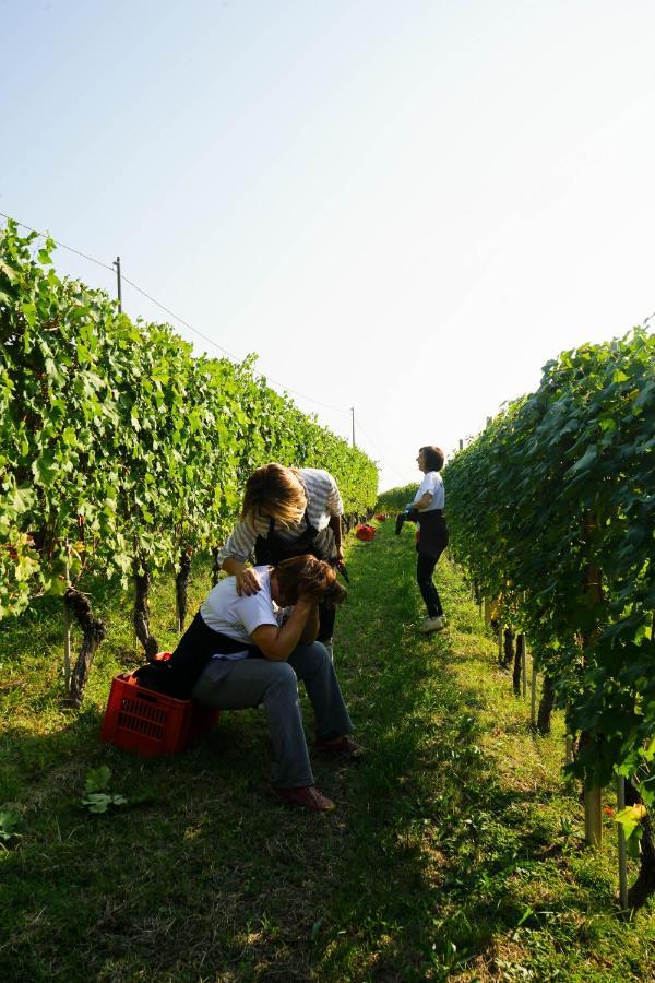 Agriturismo Il Gioco Dell'Oca Barolo Exterior photo